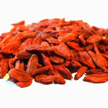 ningxia factory wholesale bulk nutrients dried organic goji berries